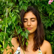 Drone management portal down in Canada?