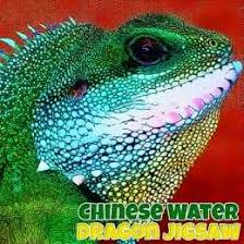 لعبة تركيب صور تنين الماء الصيني Chinese Water Dragon Jigsaw العاب ميزو