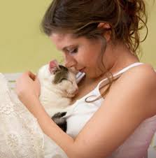 We did not find results for: Sample Collection From Animal Companions Perpetual Dna Life Jewels