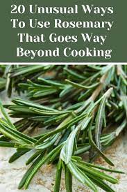 20 Unusual Ways To Use Rosemary That Goes Way Beyond Cooking Medicinal Herbs Garden Rosemary Plant Drying Herbs