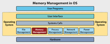 The network operating system is the platform to run a system software on a server and allow the server to manage the users, data, groups, security, applications and other networking functions. Memory Management How It Works Why You Need It Esf
