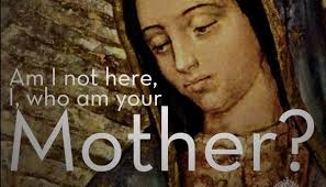 Among Women 188: Mary's Spiritual Motherhood and Ours