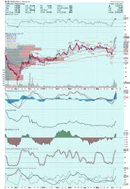 Bluebird Stock Stockal Better Investments Powered By Big