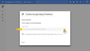 Google Maps Api Key