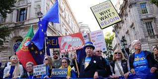 Rejoiner finally admits Brexit defeat after Nigel Farage's Clacton victory