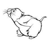 Gopher From Winnie The Pooh Because He Is My Favorite Gopher Winnie The Pooh Winnie The Pooh Tattoos Disney Coloring Pages