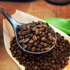 Image result for Coffea racemosa