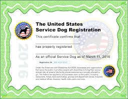 Customers must submit the u.s. How To Get A Service Dog Certificate Arxiusarquitectura