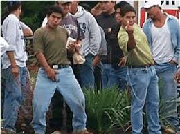 images?q=tbn:ANd9GcTRfzkWKd0T4Fmrtzj5Jer