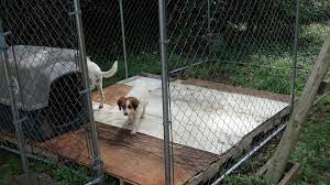 These durable mats for dog runs not only save on money but. Dog Kennel Flooring Ideas Design Ideas For Home
