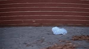 Katy perry famously questions at the opening of 'firework', forever bringing to mind that scene in american beauty where ricky videotapes the simple elegance of a plastic bag floating across a street. Deghizare Punct Imita American Beauty Plastic Bag Quote Daveschindele Com