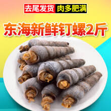 Image result for 大連海螺絲