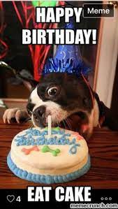 101 Funny Happy Birthday Dog Memes For Paw Lovers Everywhere Birthday Meme Dog Dog Birthday Wishes Happy Birthday Dog