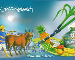 Thai pongal is a harvest festival held in appreciation of the sun god which is observed by tamil people across the world. Category Thai Pongal Oruthuli Quotes