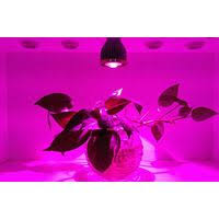 Find plant growing light now! E Shine 5g Growsun 160w Led Grow Light With Programmable Controller E Shine Systems Limited Ecplaza Net