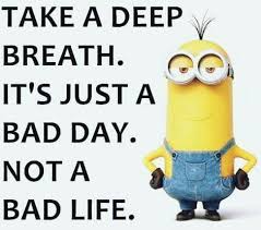  Just A Bad Day Not A Bad Life Minions Quotes Funny Minion Quotes Minions