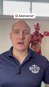 Not adenosine for SVT? 🤔 #paramedic #paramedico #paramedics  #paramedicstudent #fyp #paramedicschool #paramediclife #ems #nursing  #nursingstudent #nursingschool #paramedicsoftictok