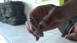 Kapolsek ciledug kena pecahan kaca tawuran dekat puri beta, dilarikan ke rs. Terkena Peluru Nyasar 1 Warga Di Pasuruan Terluka Dan Kaca Rumah Pecah Bagian 1