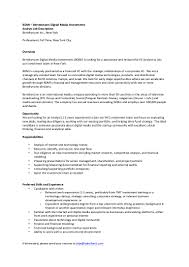 What is a financial analyst? Bdmi 2016 Analyst Job Description