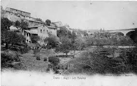 Les Oliviers Et Les Moulins A Huile Sur Le Terroir De Trans Nadine De Trans En Provence
