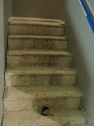 Check spelling or type a new query. Painting Osb Stair Treads Painting Inspired