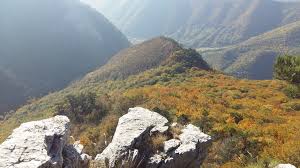 Igsu a înaintat prima versiune în cazul exploziei de la botanica. BÄile Herculane Dn67d Varful ÈuÈcu 1192 M Muntii Nostri