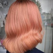 Ready to use no developer required. All You Need To Know About Peach Hair Wella Professionals