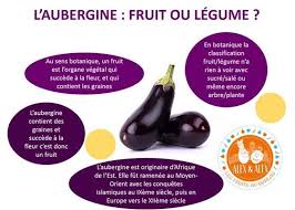 L Aubergine Fruit Ou Legume