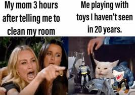 This compilation contains dank cats meowing, being cute funniest unusual memes to brighten your day. Best Woman Yelling At Cat Memes 28 Of The Funniest Examples Ever