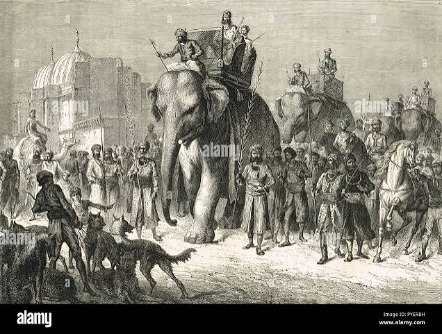 Tiger hunting with Elephants, India, 19th century Stock Photo - Alamy