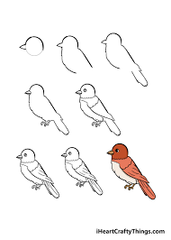Bird Drawing - How To Draw A Bird Step By Step!