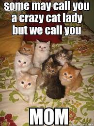 Funny Pictures Of The Day 105 Pics Crazy Cats Cats Funny Animals