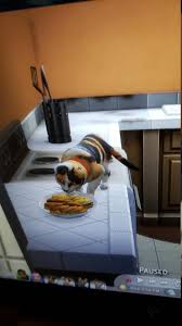 Feb 04, 2021 · this sims 4 mod allows you to control your own pet in such a way that's the same as an actual human sim. Does Anyone Which Mod And How To Install It So You Can Control Your Pets In The Sims 4 Sims4
