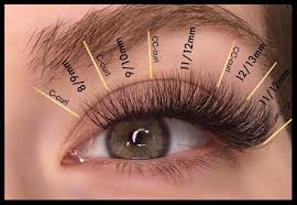 Squirrel Lash Mapping Eyelash Extensions Eyelash Extentions Eyelash Extensions Styles