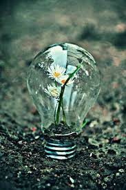 Blogger Abstract Photography Conceptual Photography Nature Photography