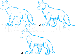 How to draw wolf eyes. How To Draw Anime Wolves Anime Wolves Step By Step Drawing Guide By Dawn Dragoart Com