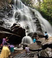 Best season for visiting would be in the rainy se. Sirimane Falls Sringeri 2021 All You Need To Know Before You Go With Photos Tripadvisor