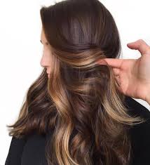 40 shades of brown hair color chart to suit any complexion. 30 Amazing And Trendy Brown Hair Color Ideas Beezzly