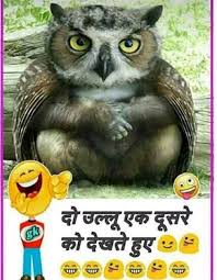 New jokes in hindi, jokes for whatsapp in hindi. 100 Best Images Videos 2021 Funny Jokes Whatsapp Group Facebook Group Telegram Group