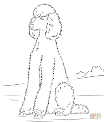 Pin On Dog Patterns