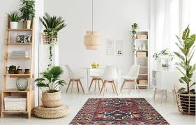 Industry veteran Dan Inbar becomes CIO at Symbotic and focuses