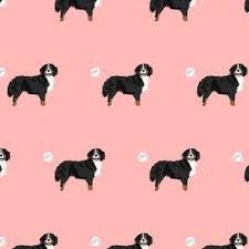 Check spelling or type a new query. Bernese Mountain Dog 65 Designs By Petfriendly