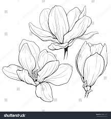 Pro download no attribution required. Bloemen Tekenen Bloem Omtrek Kunstbloemen