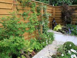 In our latitudes, ivy is and remains the evergreen climbing plant par excellence, especially where large areas are to be densely covered. The Best Climbing Plants For Fencing Jacksons Fencing