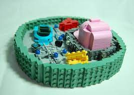 Here i will show you those models that may be your. Back Of The Animal Cell Alcloneproductions Flickr