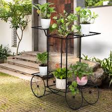 We did not find results for: Urhomepro Multitier Indoor Plant Stand Paint Car Shape Iron Flower Pot Holder Plant Holders Black Metal Plant Stand Outdoor Decorative Plant Holder For Home Garden Patio Housewarming W8186 Walmart Com Walmart Com