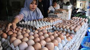 Sahabat peternakadalah channel yang dapat dijadikan rujukan bagi penggemar ternak ayam petelur, calon peternak ayam petelur, maupun karyawan yang sedang. Menjelang Natal Dan Tahun Baru Harga Telur Ayam Di Kota Salatiga Melonjak Drastis Halaman All Tribunnews Com Mobile