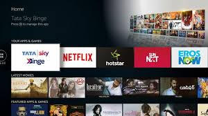 Users also get access to a host of video streaming platforms. Tata Sky Binge Review Binge On With Amazon S Free Fire Tv Stick
