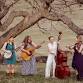 The Rosa Lees at The Falls Taphouse