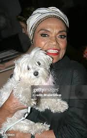 38 Bruce Kasper Stock Photos, High-Res Pictures, and Images